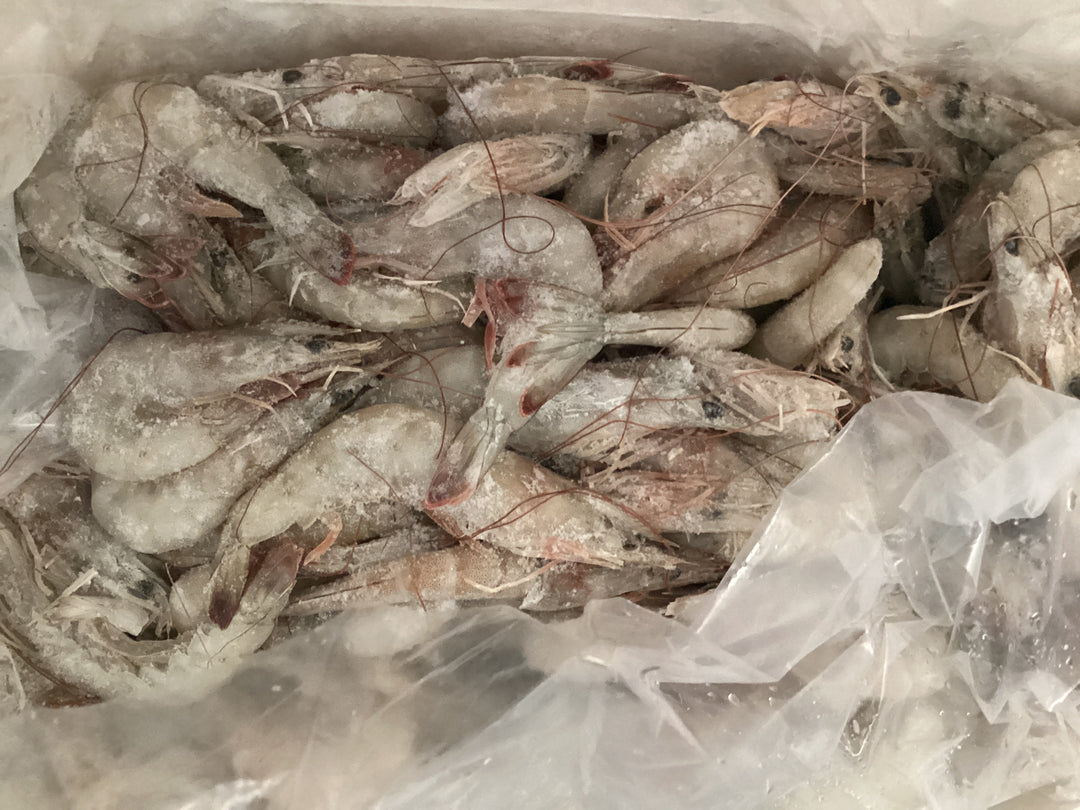 Shrimps