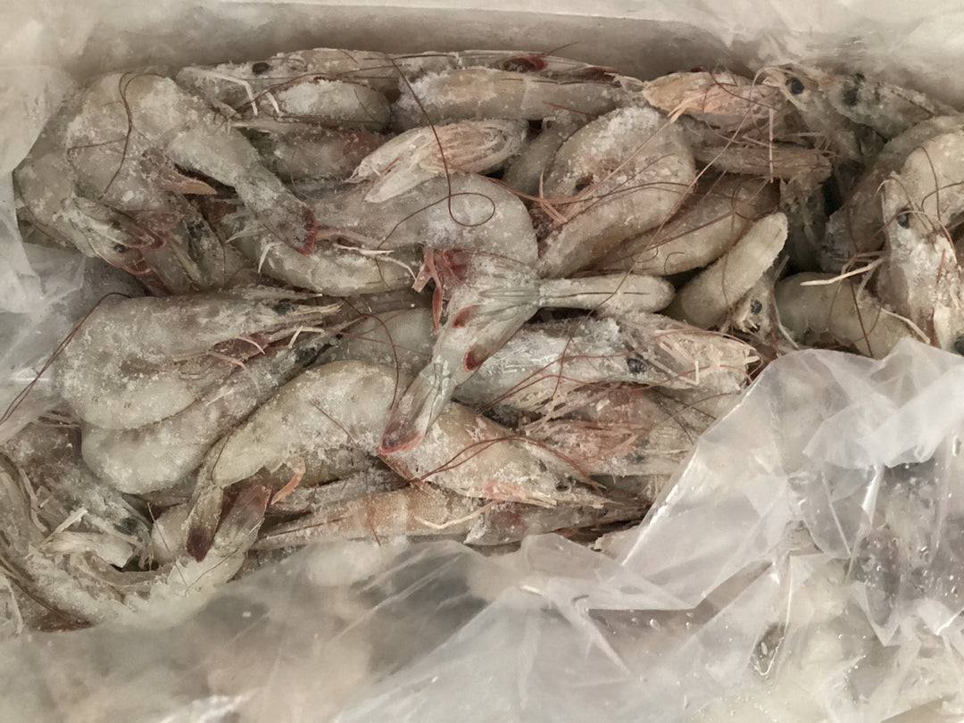 Shrimps