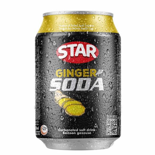 Star Ginger Soda 295ml