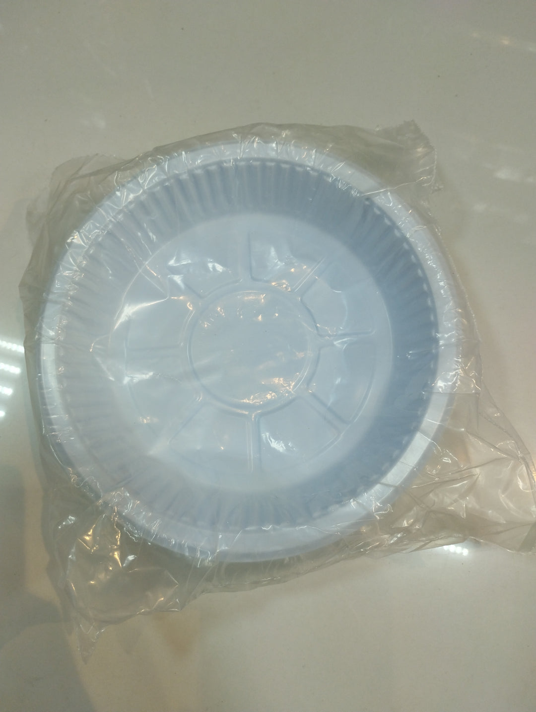 Plastic Plate (S)