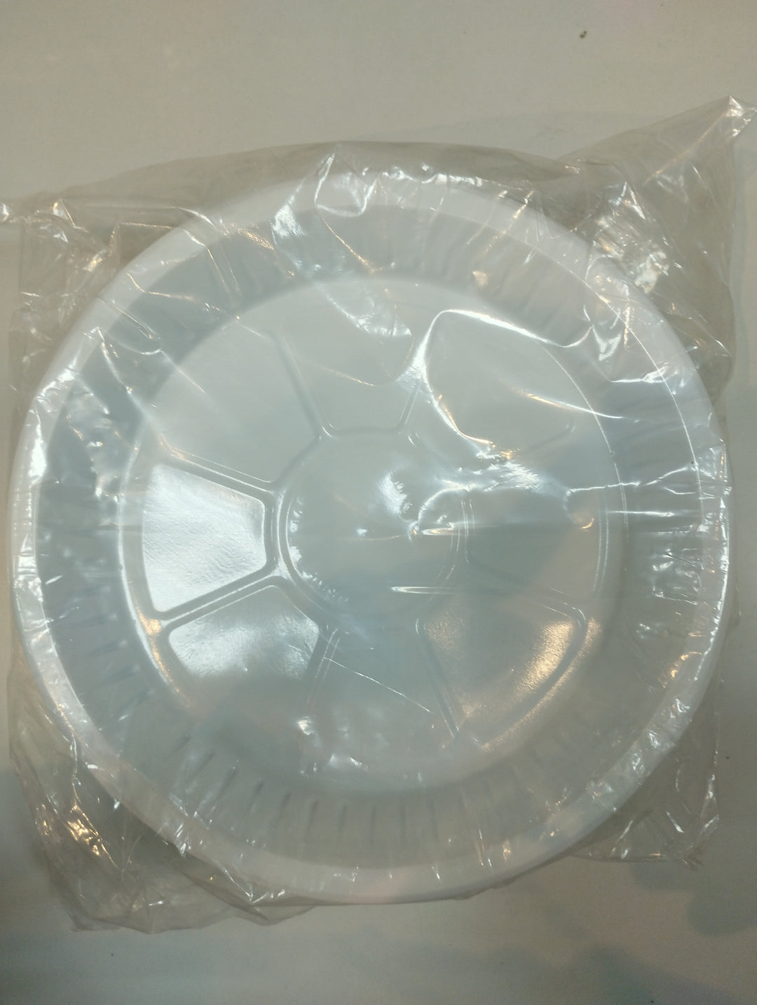 Plastic Plate (M)