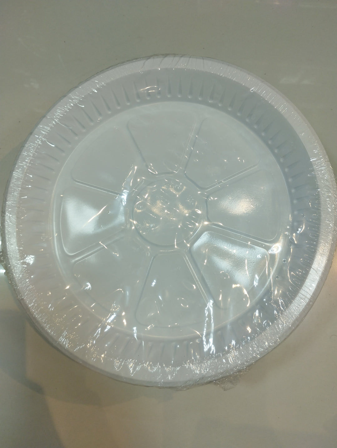 Plastic Plate (L)