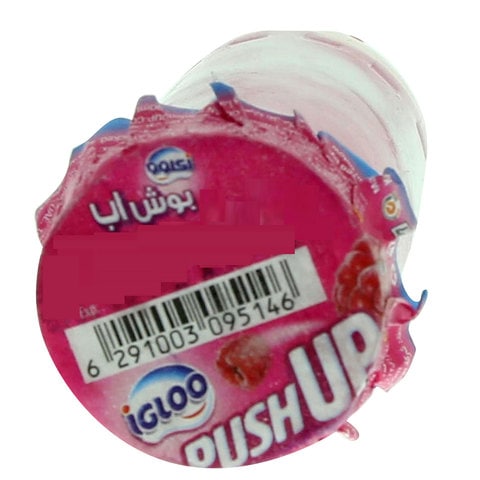 Igloo Push up ice cream 85ml