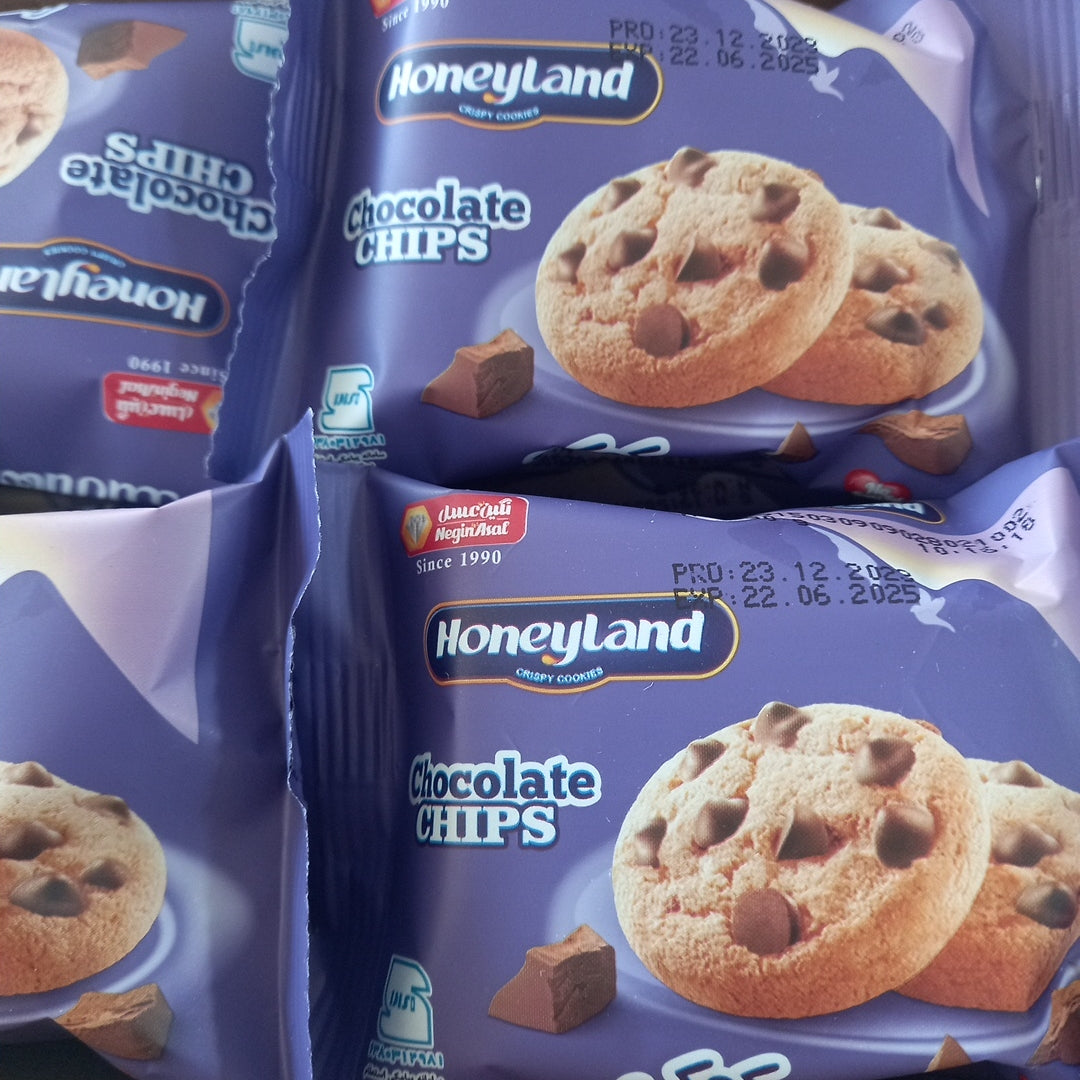 Honeyland chocolate chips 40gm