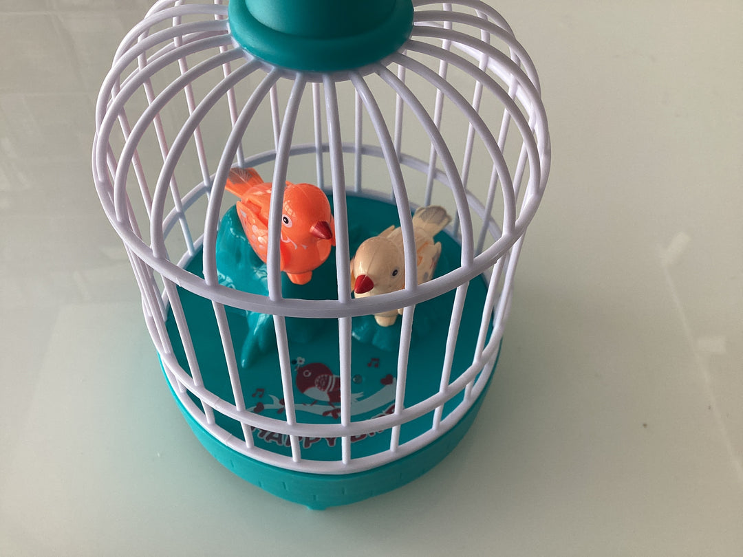 Singing Bird Cage Toy