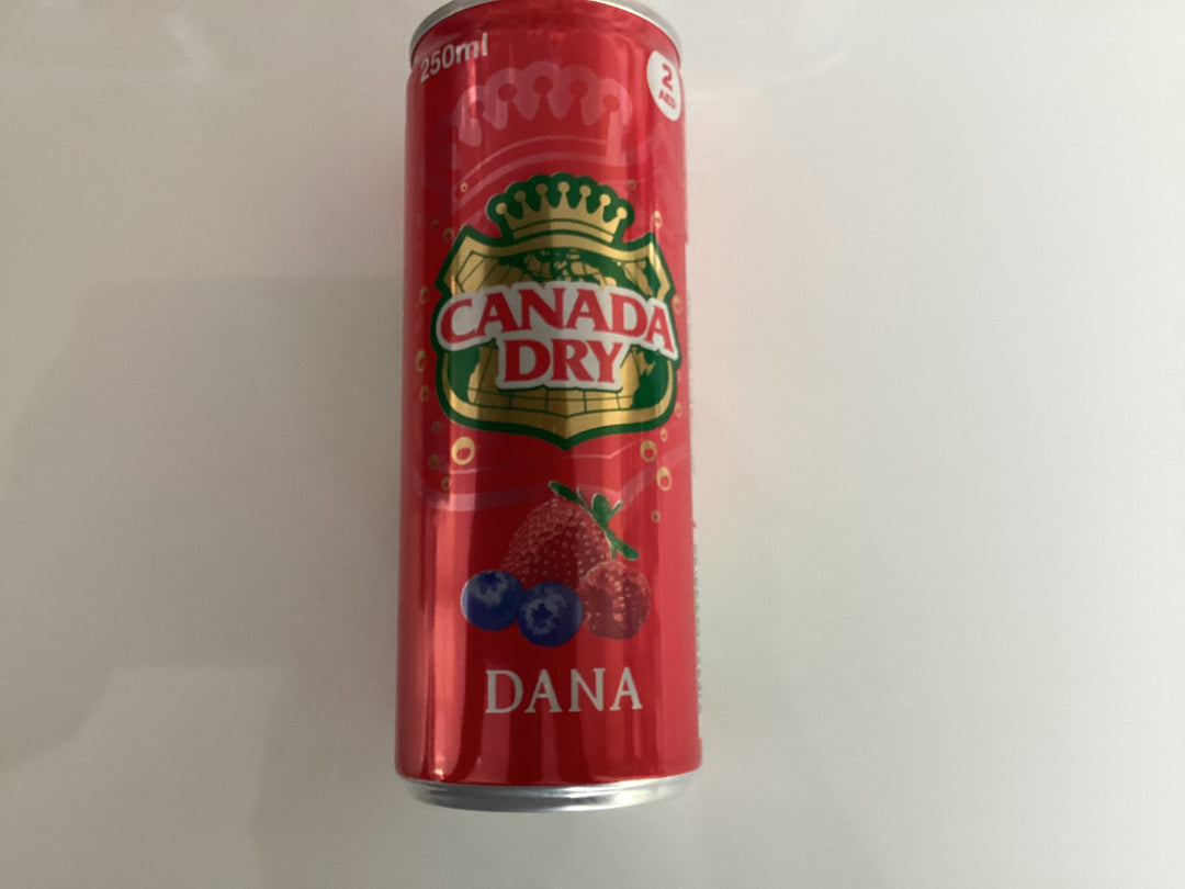 Canada Dry Dana 250ml