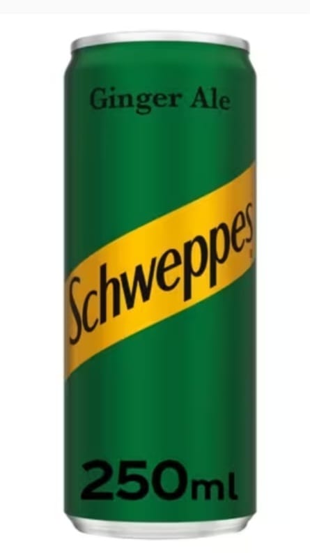 SCHWEPPES Ginger Ale 250ml