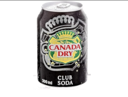 Canada Dry Soda 300ml