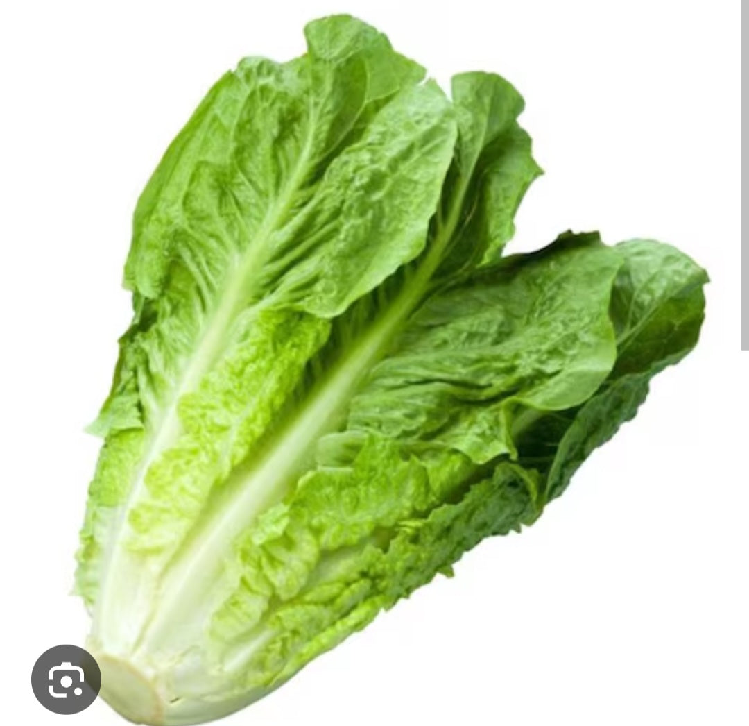 Lettuce (Kash) 1Kg