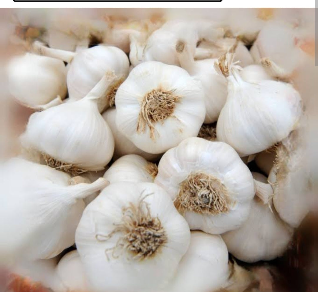 Garlic 500g