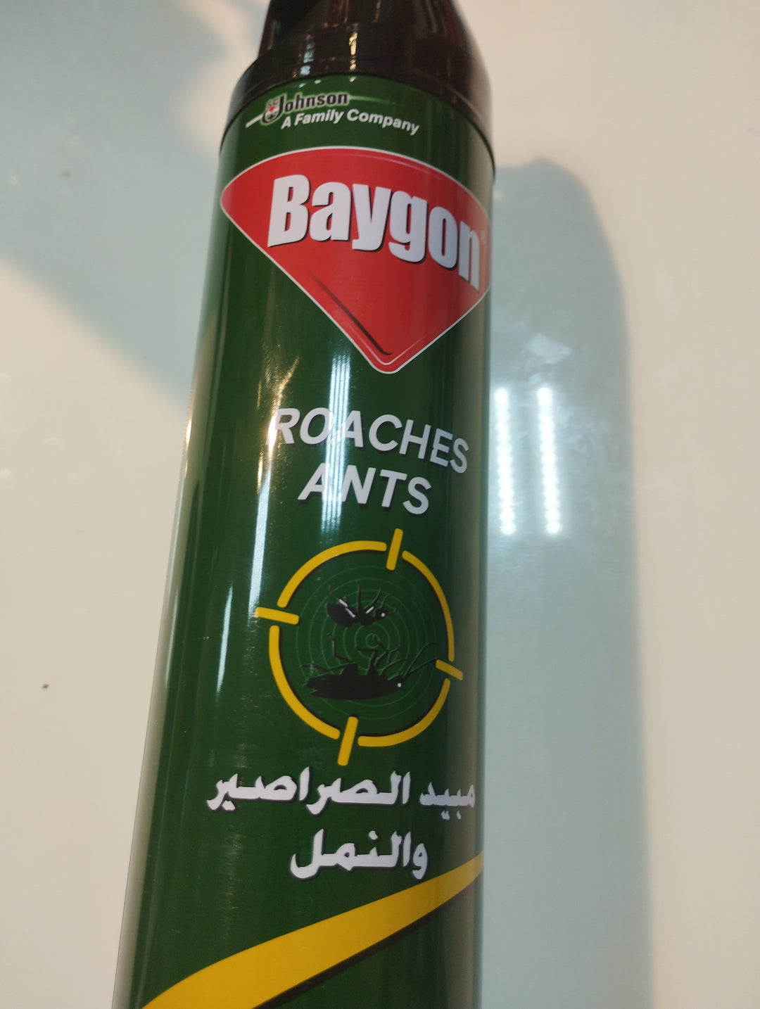 Baygon Roaches Ants Killing 400ml