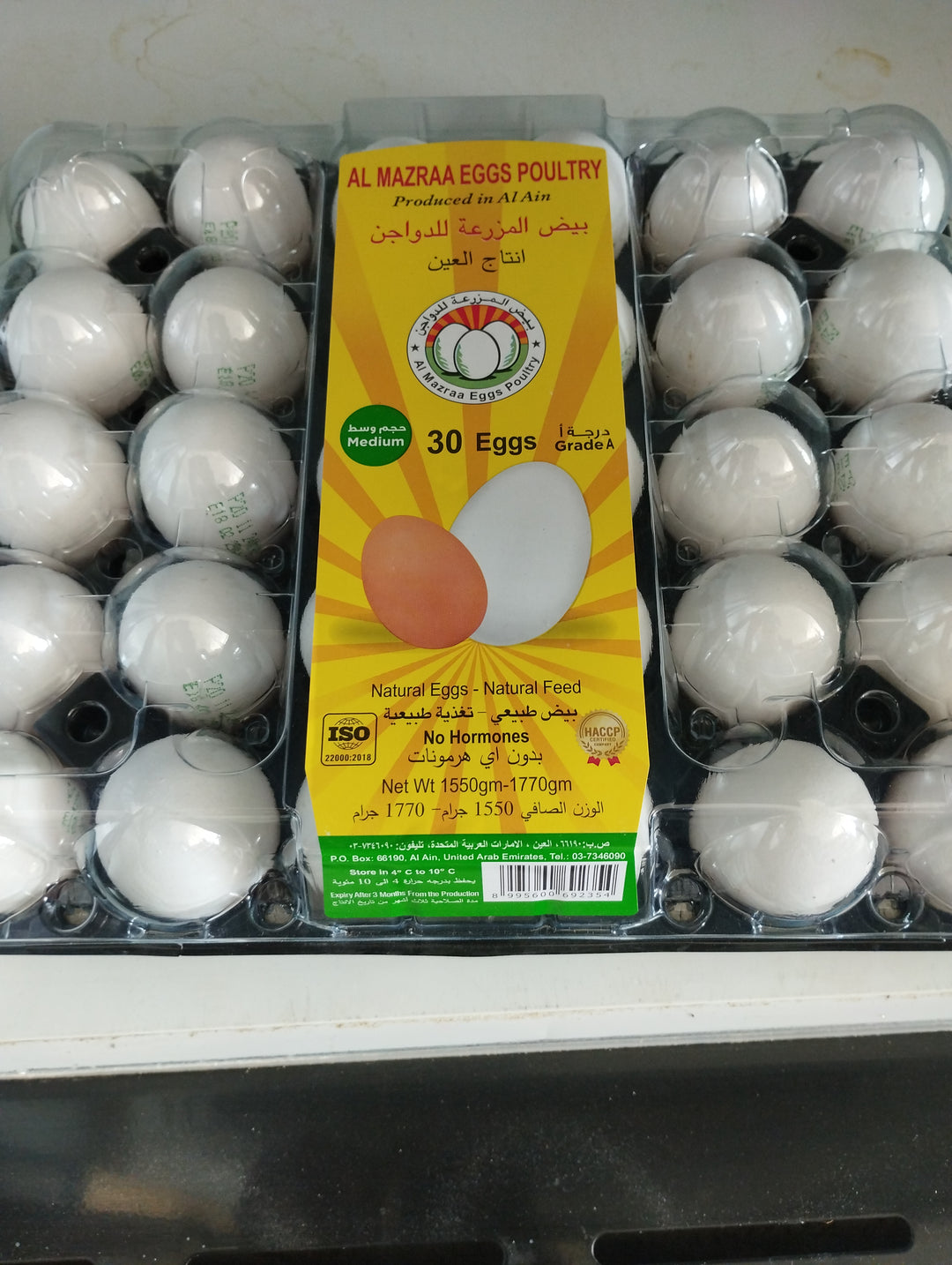 Eggs 30pcs Small